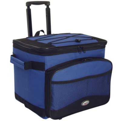tcl cool carry backpack