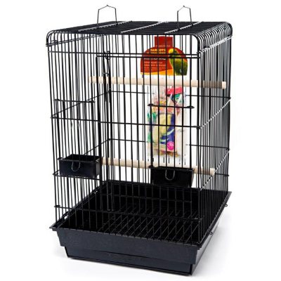 Penn Plax Parrot Starter Kit - Sam's Club