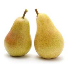 Sugar Pears - 4 lbs. - Sam's Club