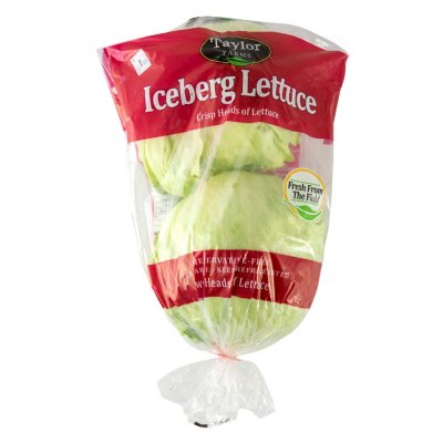 iceberg lettuce plush