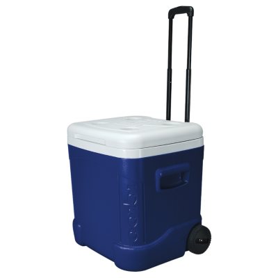 sam's club cooler igloo