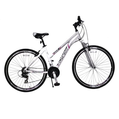 schwinn dual sport bike