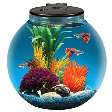 KollerCraft 3-Gallon Aquarium Kit with 7 Color LED Lights, 4″ Net and Seashell Décor