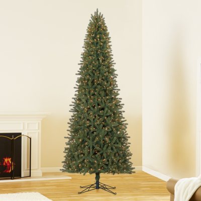 12 ft Member's Mark Artificial Pre-Lit Ellsworth Fir Christmas Tree ...
