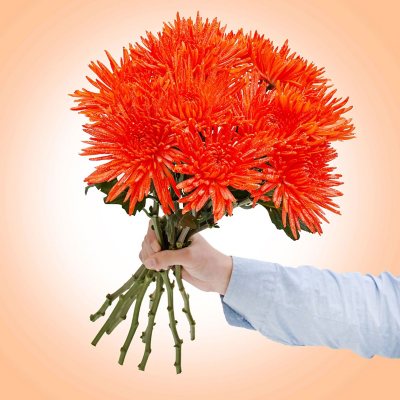 Spider Mums - Painted Glitter Orange - 60 Stems - Sam’s Club