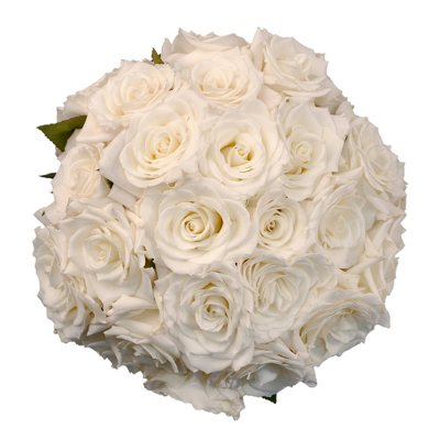 Roses, Vendela (75 stems) - Sam's Club