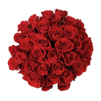 Roses, Red (75 stems) - Sam's Club