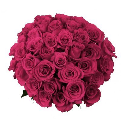 Roses, Hot Pink (75 stems) - Sam's Club