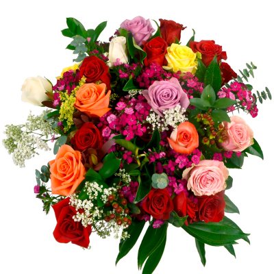 Individually Sleeved Roses with Filler, Assorted Colors (25 bouquets ...