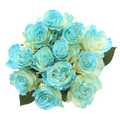 Roses, Fantasy Painted and Glitter Light Blue (50 stems) - Sam's Club