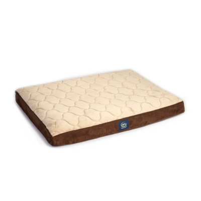 serta perfect sleeper elite quilted plush pillow