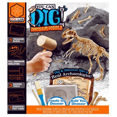 you can dig dinosaur fossils