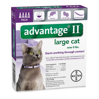 Advantage II Topical Flea Protection For Cats, Large (Over 9 Lbs.) 4 Ct ...