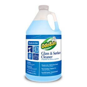 sam's pool cleaning kit