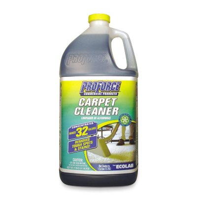sam's pool cleaning kit
