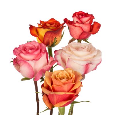 Bulk Flowers Online & Near Me - Sam's Club