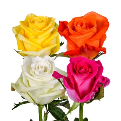 Roses, Assorted Bright Colors (100 stems) - Sam's Club