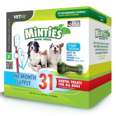 sam's club dog dental chews