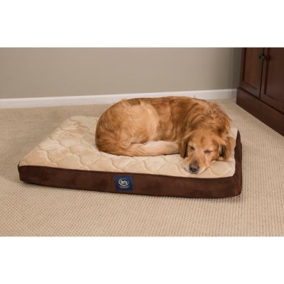 pet gel bed