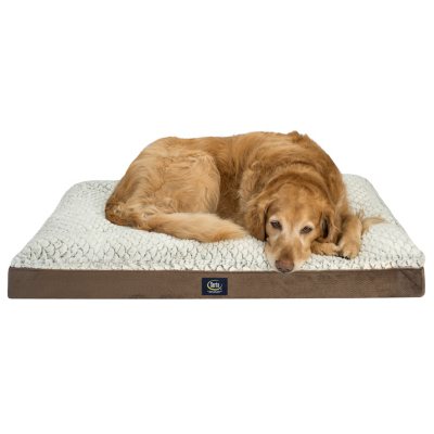 Dog Beds - Sam's Club