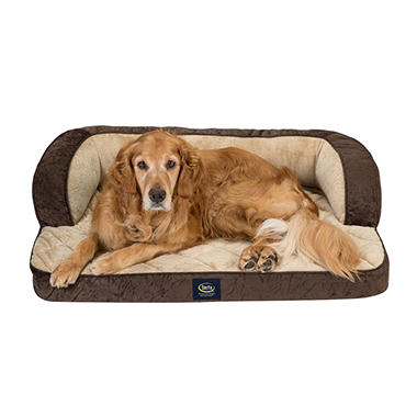 Serta Perfect Sleeper XL Sleeper Sofa Pet Bed