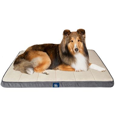 Serta Orthopedic Crate Mat with Memory Foam Quilted Sleep Surface