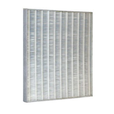 Newport 9000 Replacement Hepa/Charcoal Filter - Sam's Club