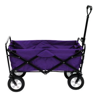 Purple Folding Wagon - Sam's Club