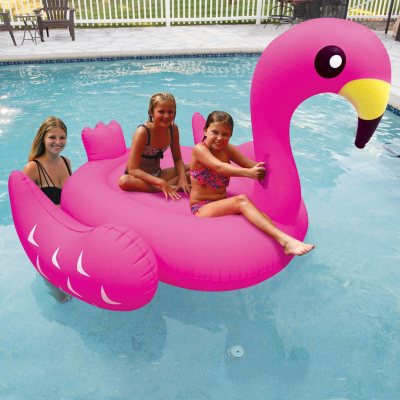 sam's club flamingo pool float