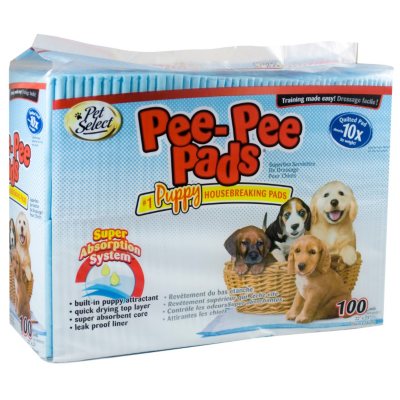 Pet Select Pee-Pee Training Pads, 22"x 23" (100 ct.) - Sam ...